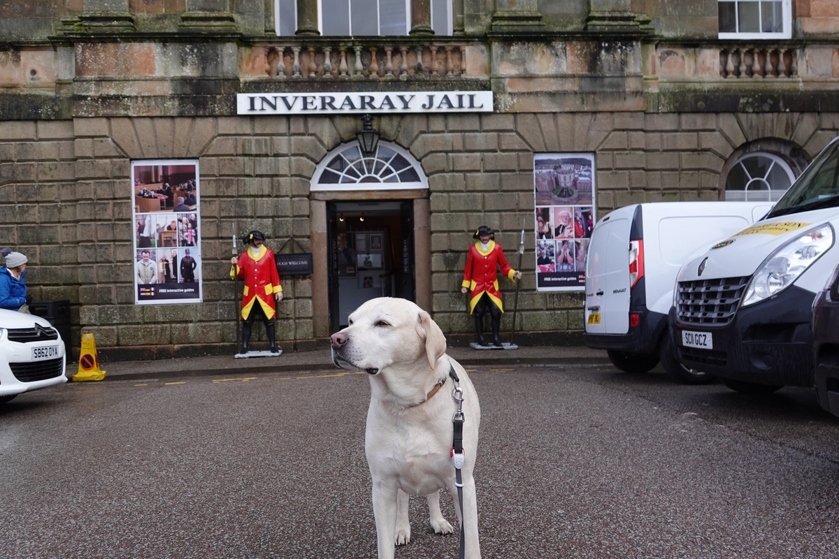 Heller Labrador vor dem historischen Gebäude der Inveraray Jail